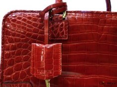 'LOEWE' 'LOEWE'
