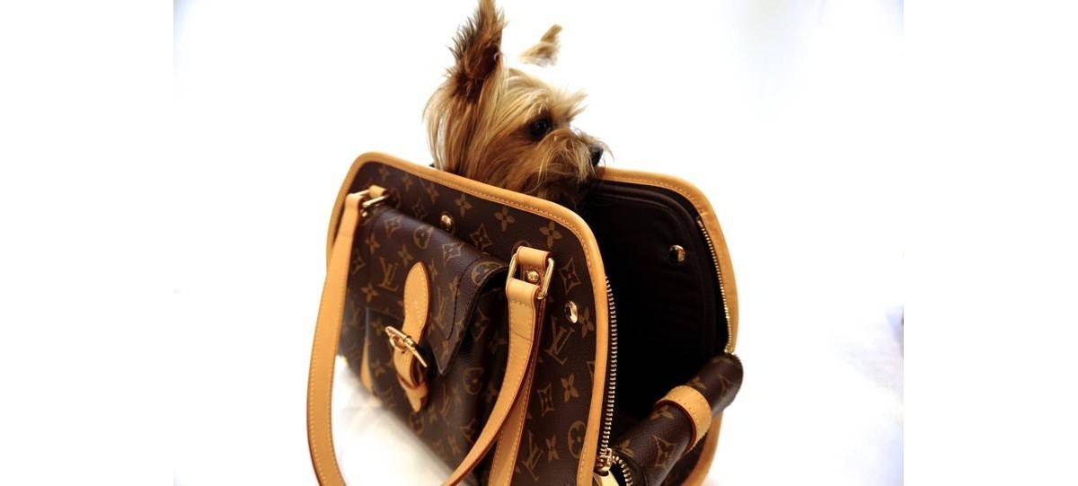 Bolso LOUIS VUITTON, BAXTER PM