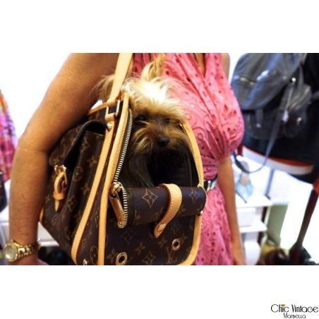 Bolso LOUIS VUITTON, BAXTER PM