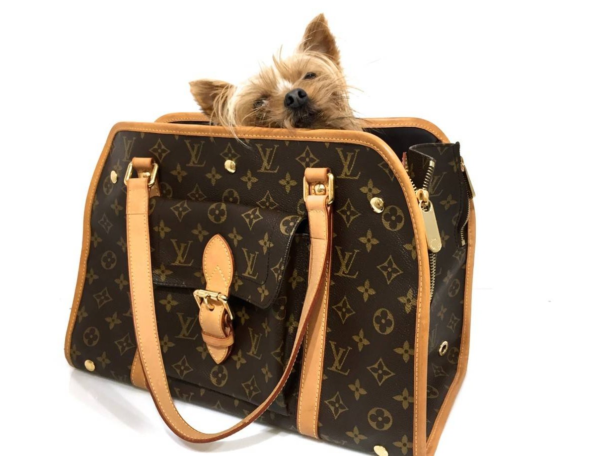 Bolso Hombro LOUIS VUITTON para Perros