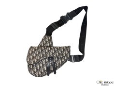 Bolso CHRISTIAN DIOR Men Saddle
