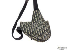Bolso CHRISTIAN DIOR Men Saddle