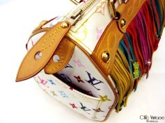 'LOUIS VUITTON' Fringe Speedy Multicolor 