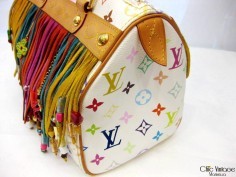 'LOUIS VUITTON' Fringe Speedy Multicolor 