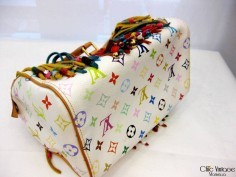 'LOUIS VUITTON' Fringe Speedy Multicolor 